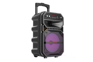 Professional Portable Trolley Speaker with Wireless microphone ND-6009